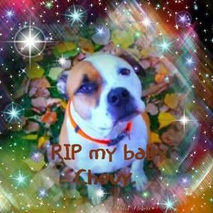 Meet your Posher, Cecillia